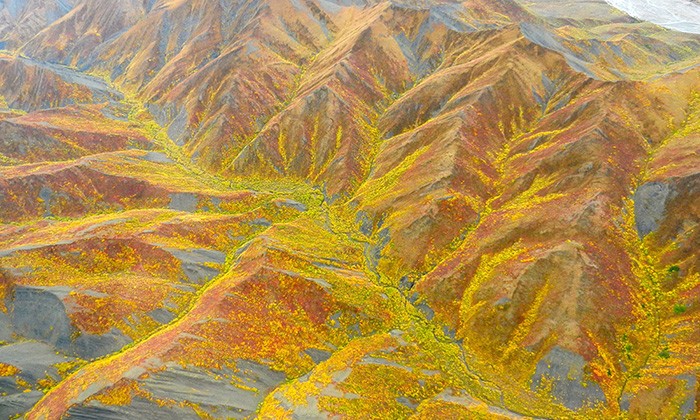 Alaska9