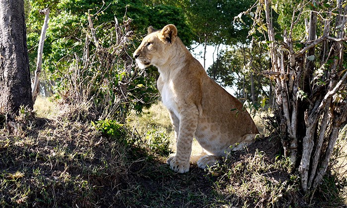 Kenya2