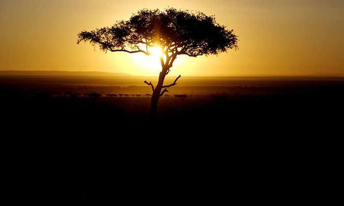 Kenya5