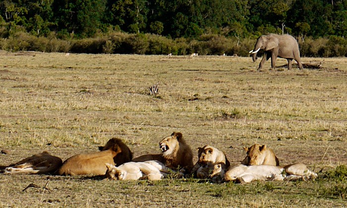 Kenya9