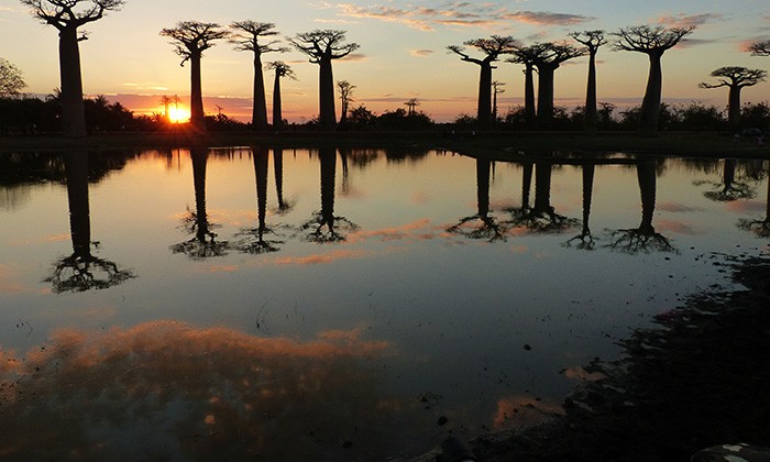 Madagascar8-rus-margolin