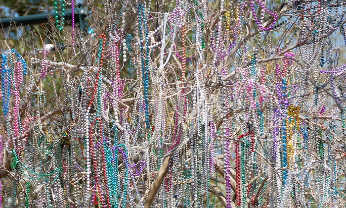 MardiGras2