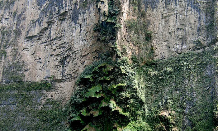 MexicoYucatan7