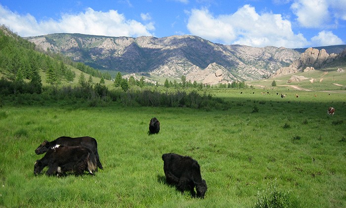 Mongolia10