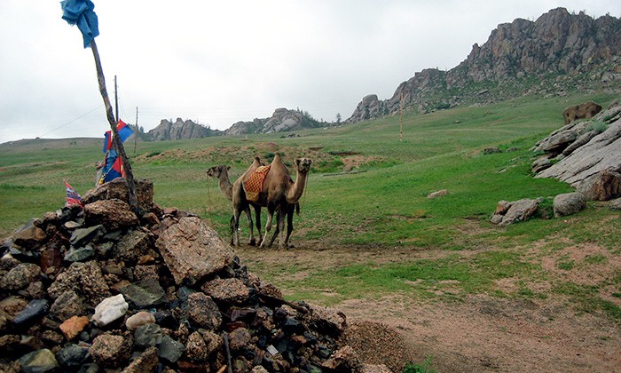 Mongolia2