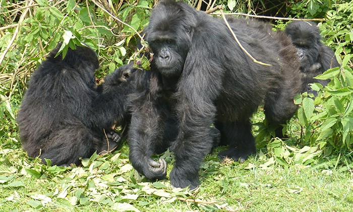 Rwanda2-ruslan-margolin