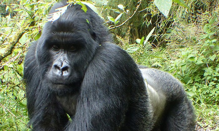 Rwanda3-ruslan-margolin
