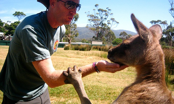 Tasmania4