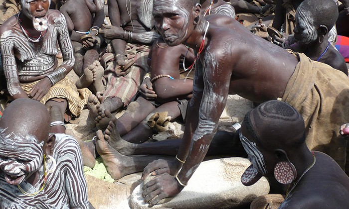 Tribe8