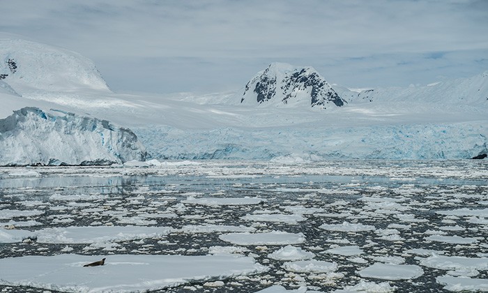 Antarctica3-jeff-topham