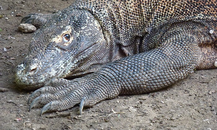 Indonesia1-ruslan-margolin