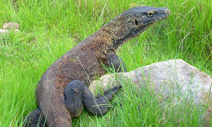 Indonesia5-ruslan-margolin