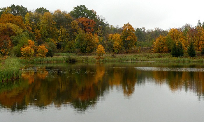 Lithuania1