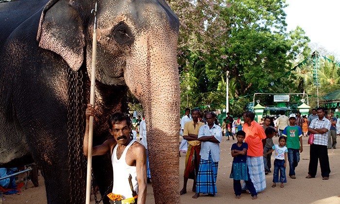 SriLankaKatarangama17